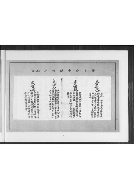 福建王氏族谱-王姓谱系.pdf电子版插图5
