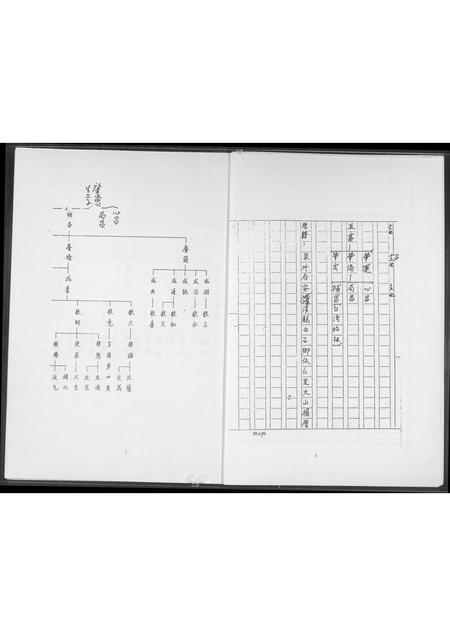 福建王氏族谱-王室受姓分柱谱图.pdf电子版插图5
