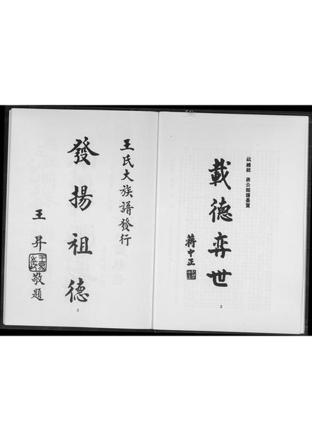 福建王氏族谱-王氏大族谱.pdf电子版插图5