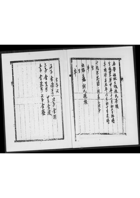 福建王氏族谱-王氏家谱.pdf电子版插图5