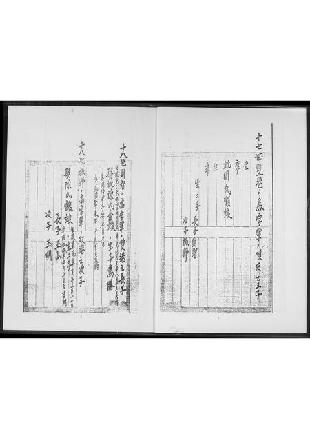 福建王氏族谱-王氏家谱.安溪派.pdf电子版插图5