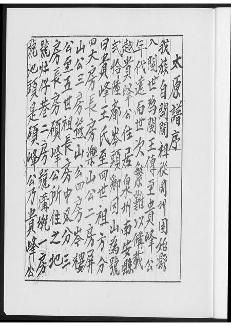 福建王氏族谱-王氏族谱南安.pdf电子版插图5