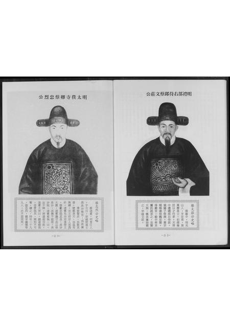 福建蔡氏-安平蔡氏家谱.pdf电子版插图5