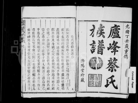 福建蔡氏-庐峰蔡氏族谱.pdf电子版插图2