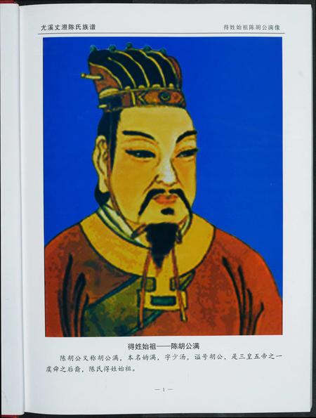 福建陈氏-丈漈陈氏族谱.pdf电子版插图3