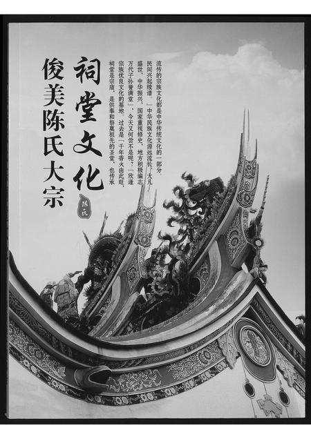 福建陈氏-俊美陈氏大宗祠堂文化.pdf电子版插图