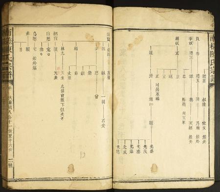 福建陈氏-南槎陈氏宗谱.pdf电子版插图2