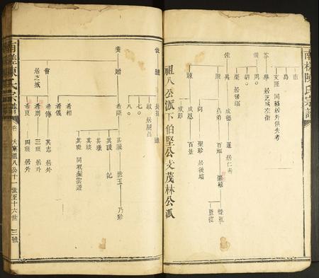 福建陈氏-南槎陈氏宗谱.pdf电子版插图3