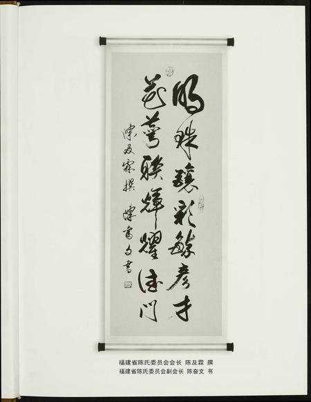 福建陈氏-天下贡川陈.pdf电子版插图2