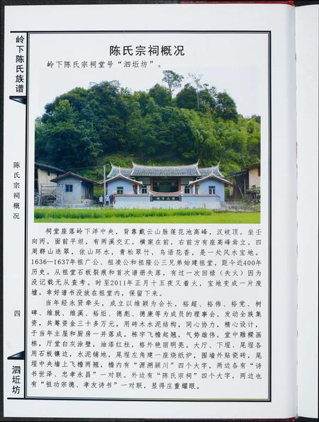 福建陈氏-岭下陈氏族谱泗坵坊.pdf电子版插图4