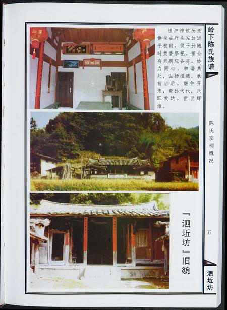 福建陈氏-岭下陈氏族谱泗坵坊.pdf电子版插图5