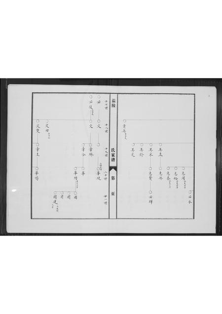 福建陈氏-涵江分派安平皇恩境陈氏三房私谱.pdf电子版插图3