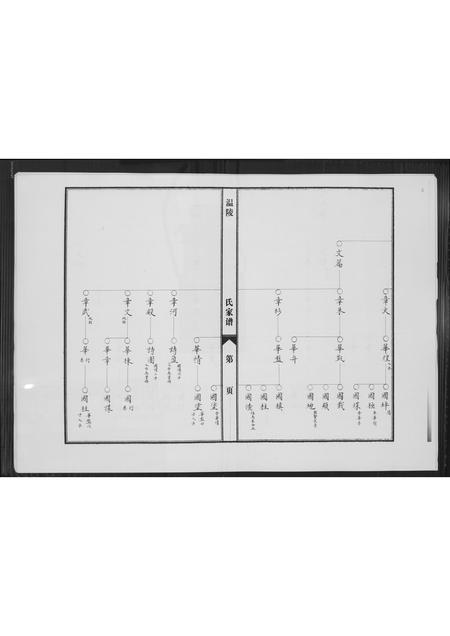 福建陈氏-涵江分派安平皇恩境陈氏三房私谱.pdf电子版插图5