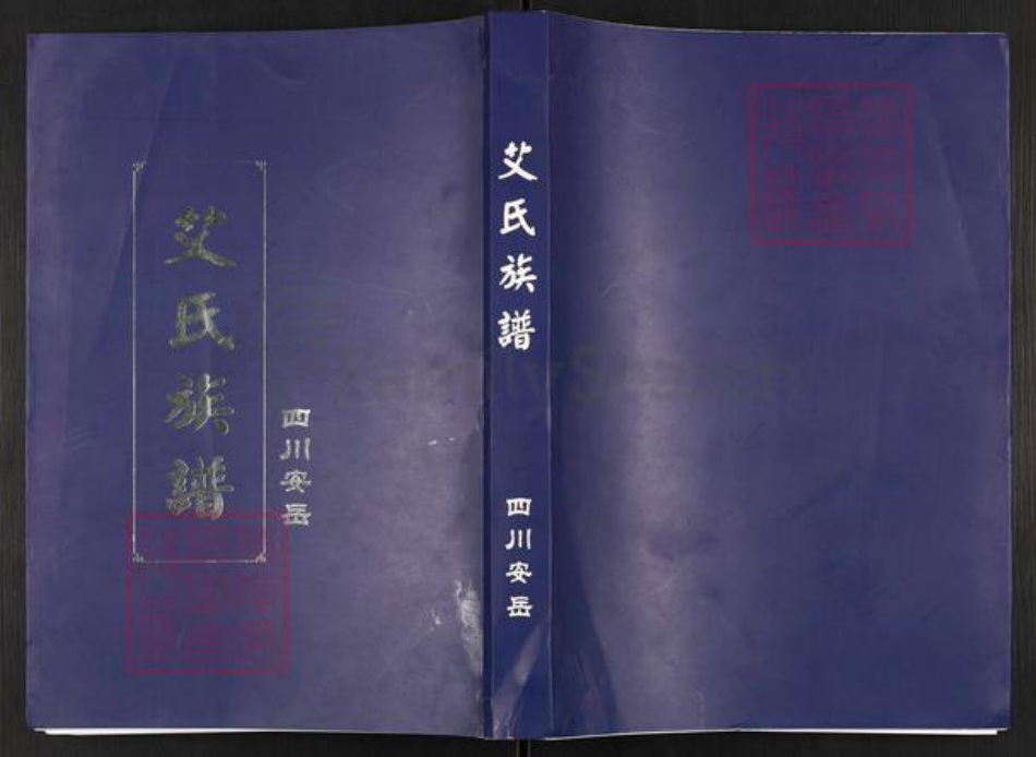四川省资阳市安岳县艾氏族谱-普州艾氏族谱.pdf电子版插图