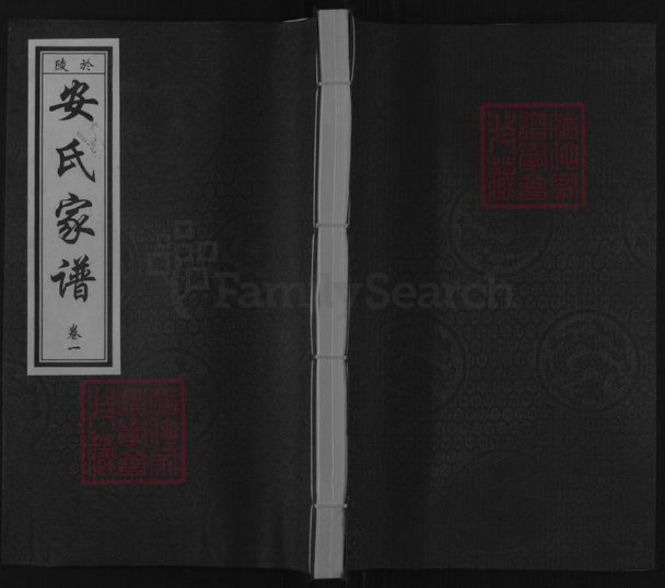 山东省滨州市邹平市临池镇安氏族谱-于陵安氏家谱.pdf电子版插图