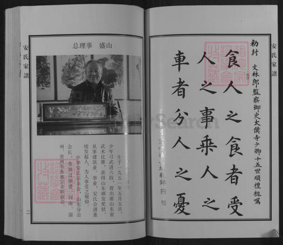山东省滨州市邹平市临池镇安氏族谱-于陵安氏家谱.pdf电子版插图3