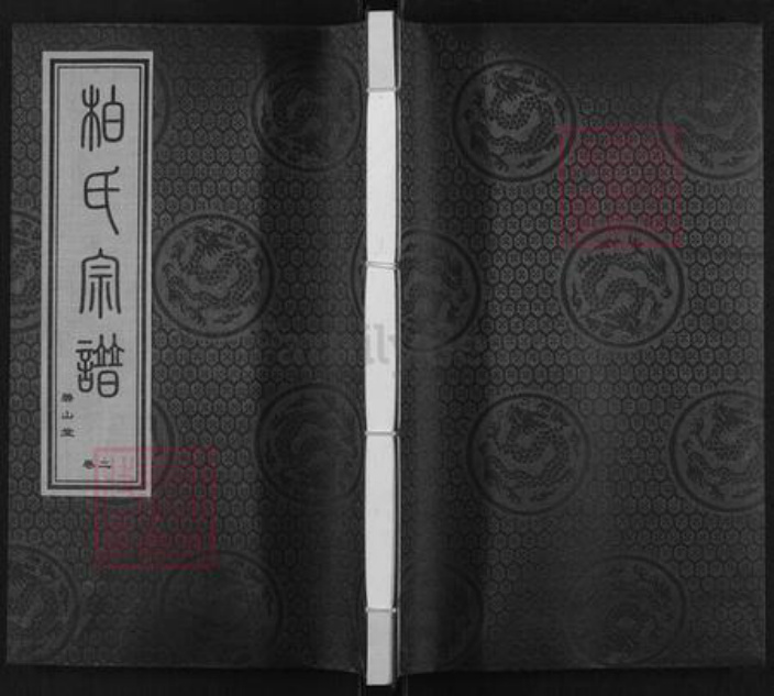 江苏省南京市江宁区柏氏碧山堂族谱-柏氏宗谱.pdf电子版