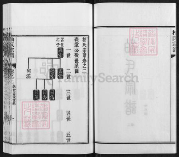 江苏省南京市江宁区柏氏碧山堂族谱-柏氏宗谱.pdf电子版插图2