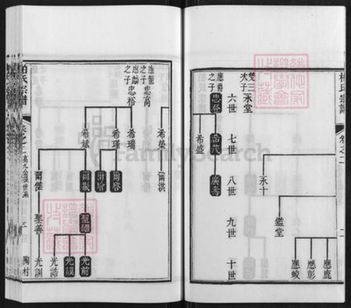 江苏省南京市江宁区柏氏碧山堂族谱-柏氏宗谱.pdf电子版插图4