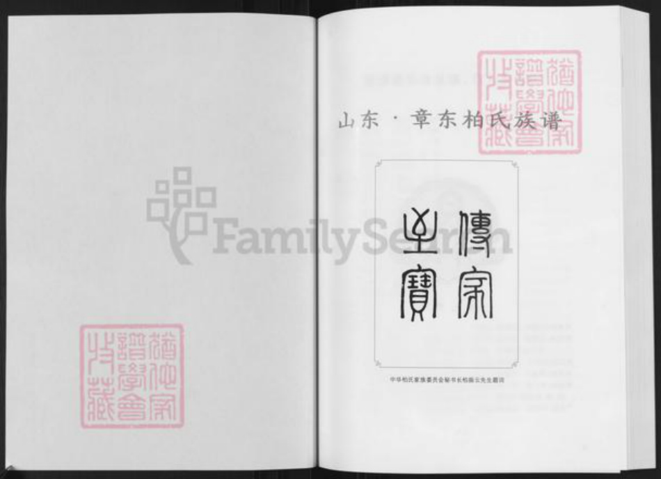 山东省济南市章丘区柏氏族谱-山东章东柏氏族谱.pdf电子版插图1