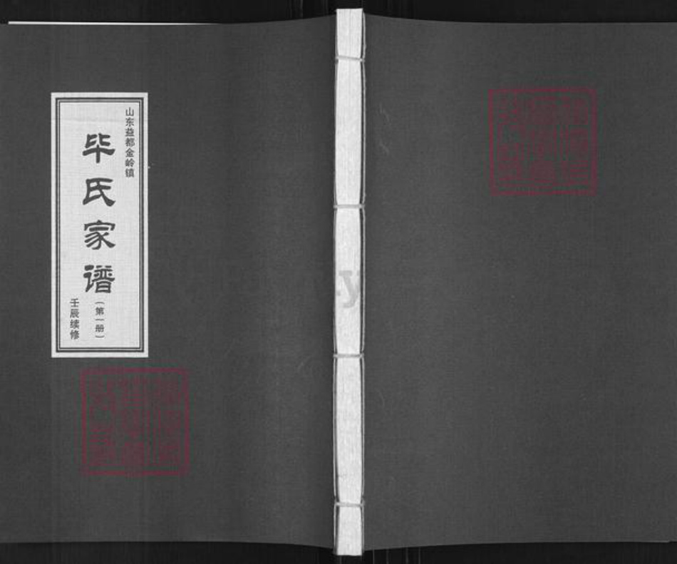 山东省淄博市临淄区金岭镇毕氏族谱-毕氏家谱.pdf电子版插图