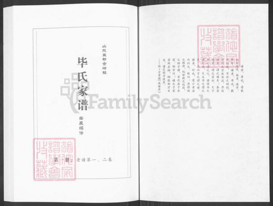 山东省淄博市临淄区金岭镇毕氏族谱-毕氏家谱.pdf电子版插图1