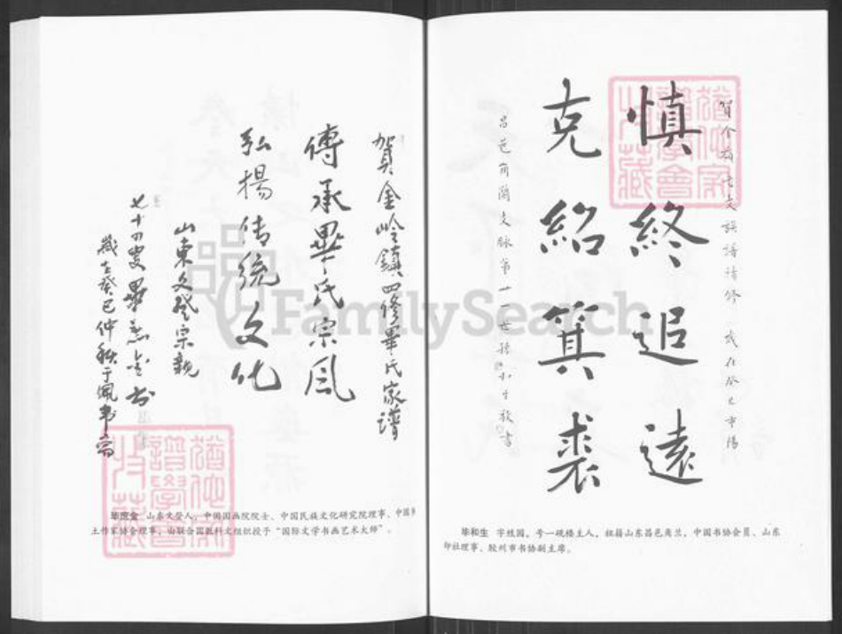 山东省淄博市临淄区金岭镇毕氏族谱-毕氏家谱.pdf电子版插图5