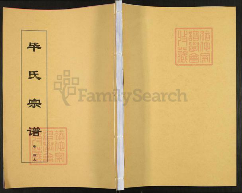 安徽省安庆市太湖县毕氏弼亮堂族谱-毕氏宗谱.pdf电子版插图 安徽省安庆市太湖县毕氏弼亮堂族谱-毕氏宗谱.pdf电子版插图