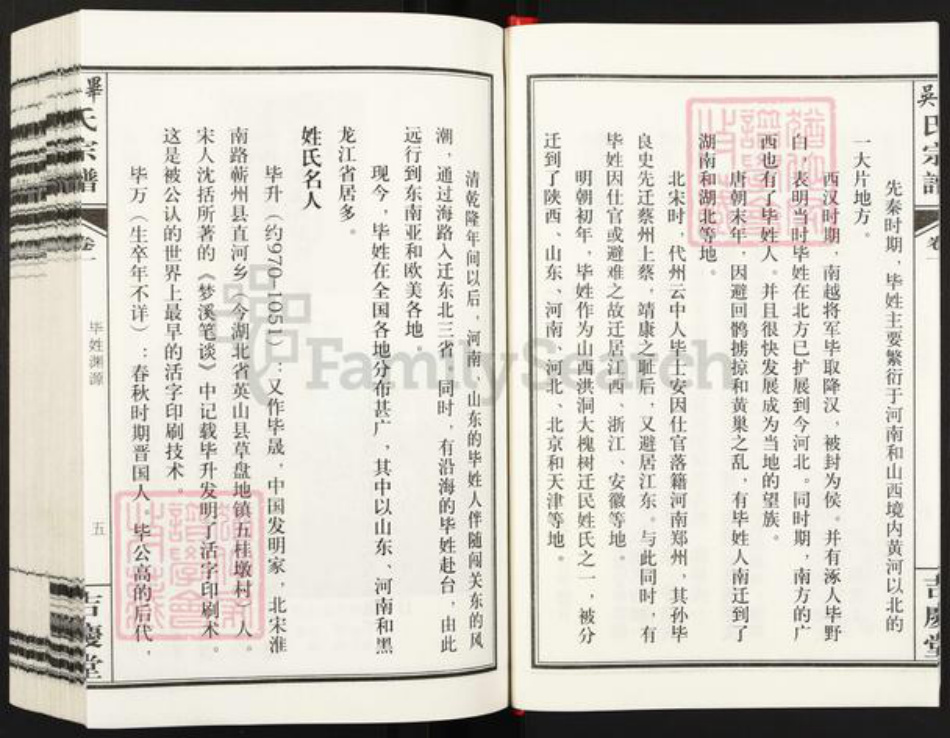 安徽省合肥市庐江县泥河镇毕氏吉庆堂族谱-毕吴氏宗谱.pdf电子版插图4