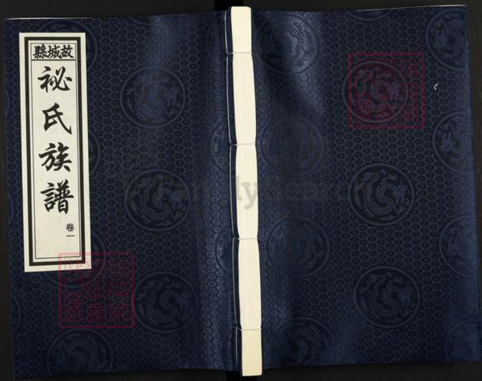 河北省衡水市故城县郑口镇袐氏族谱-故城县袐氏族谱.pdf电子版插图