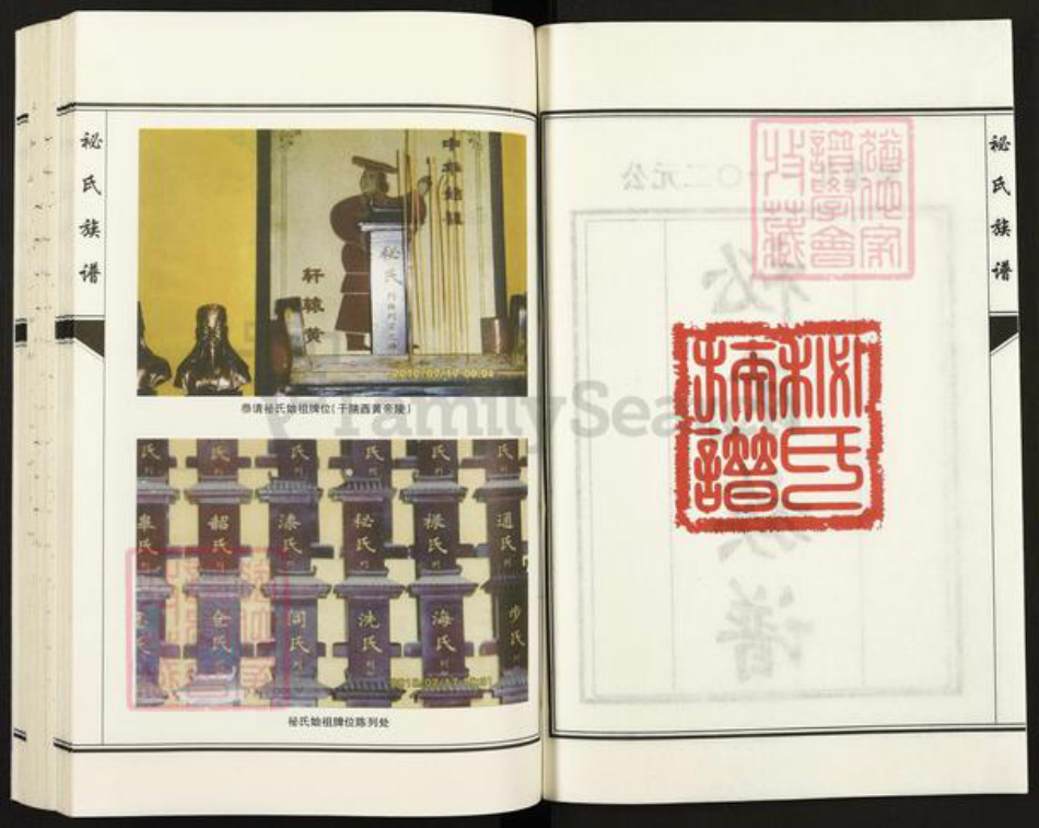 河北省衡水市故城县郑口镇袐氏族谱-故城县袐氏族谱.pdf电子版插图2
