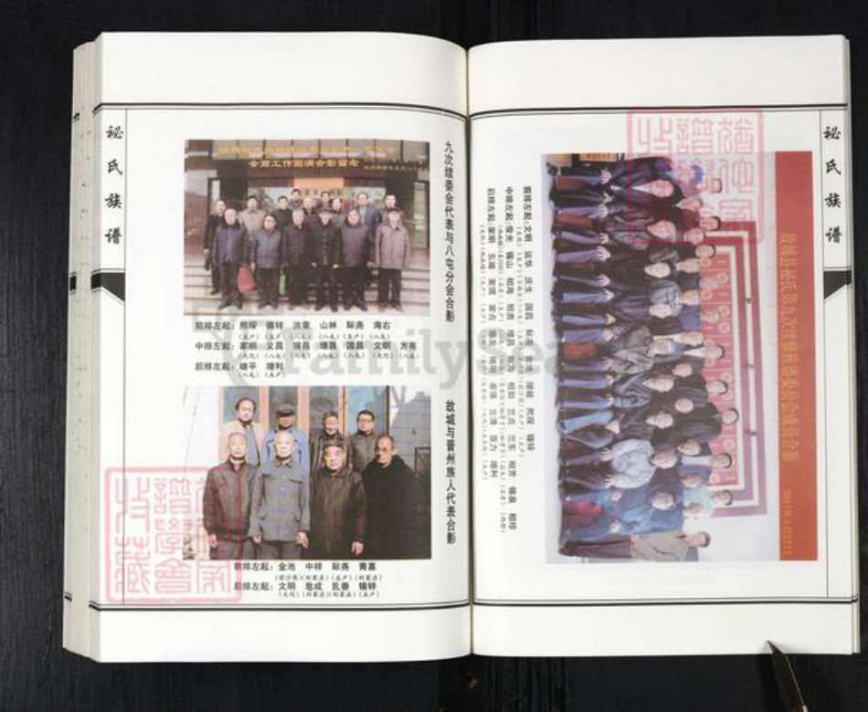 河北省衡水市故城县郑口镇袐氏族谱-袐氏族谱.故城县.pdf电子版插图4
