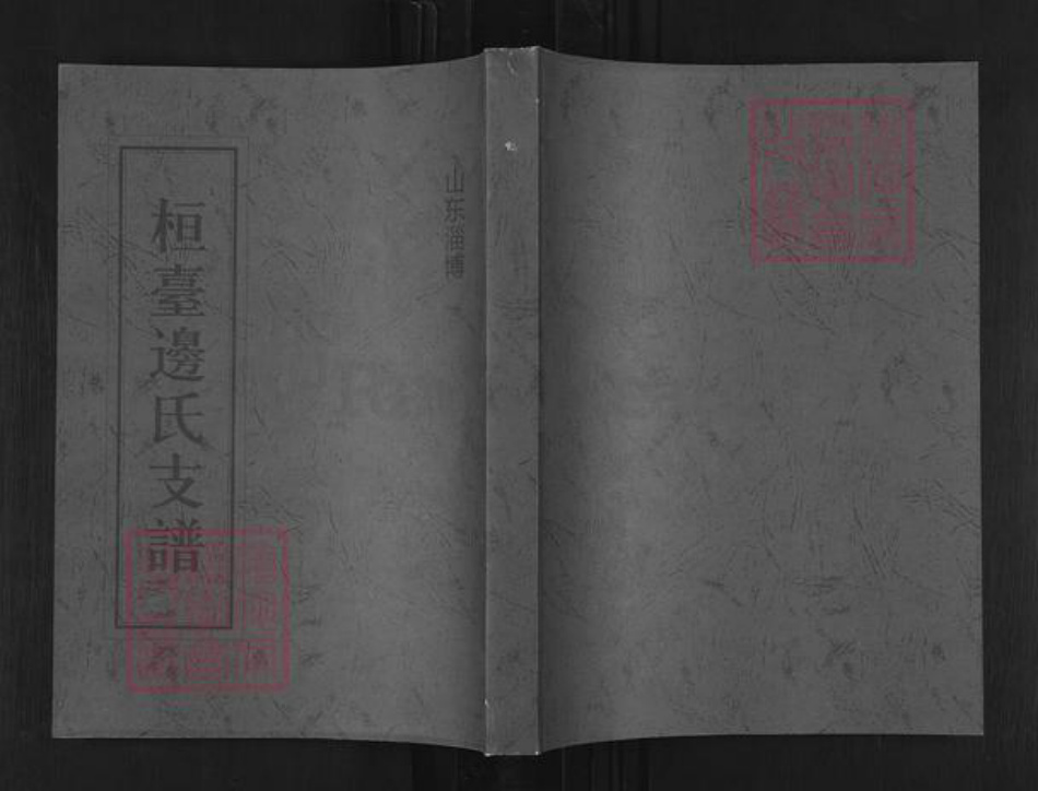山东省淄博市桓台县新城镇边氏族谱-山东淄博桓台边氏支谱.pdf电子版插图