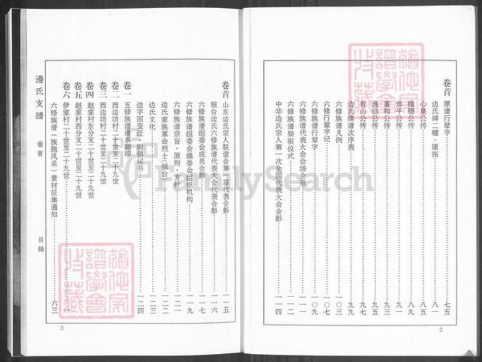 山东省淄博市桓台县新城镇边氏族谱-山东淄博桓台边氏支谱.pdf电子版插图5