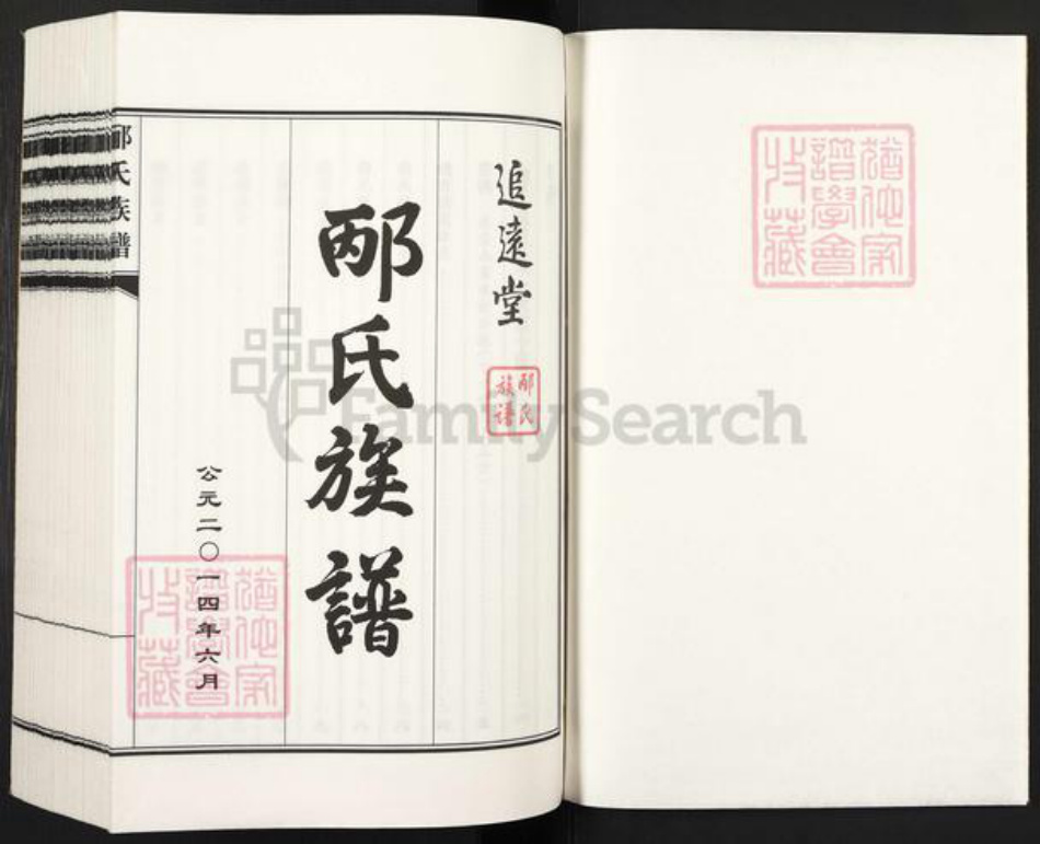 山东省青岛市莱西市沽河街道邴氏追远堂族谱-邴市族谱.pdf电子版插图1