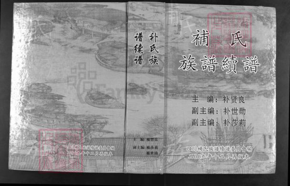 四川省补氏族谱-补氏族谱续谱.pdf电子版插图