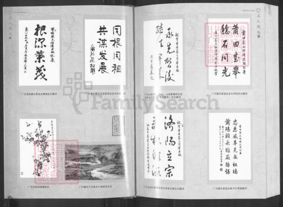 福建省莆田市仙游县枫亭镇蔡氏族谱-莆阳蔡氏宗谱.pdf电子版插图4