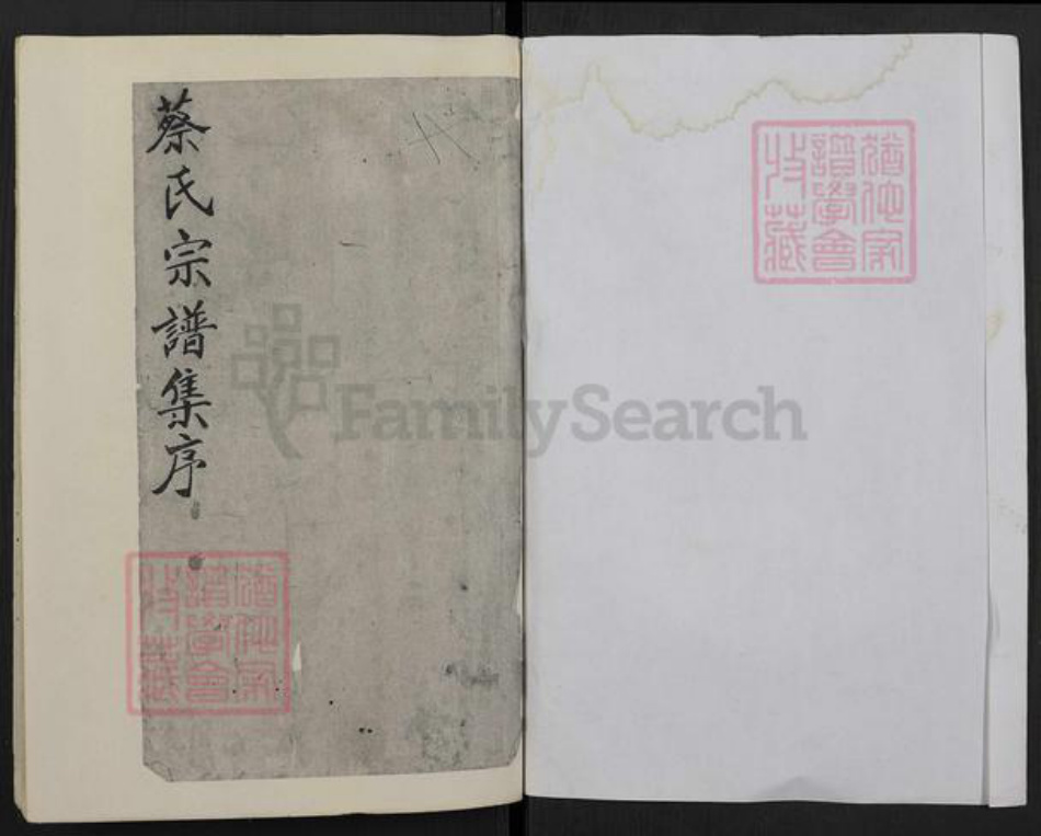 江苏省盐城市亭湖区蔡氏洛杨堂族谱-蔡氏宗谱.pdf电子版插图1