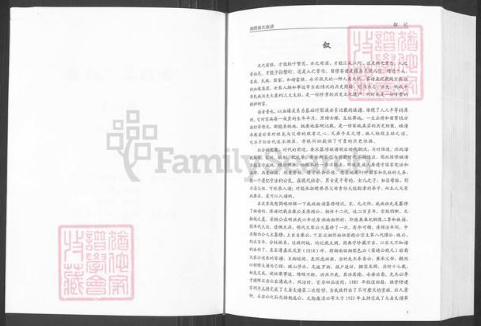 湖南省岳阳市湘阴县文星镇蔡氏洛阳堂族谱-湘阴蔡氏族谱.pdf电子版插图3