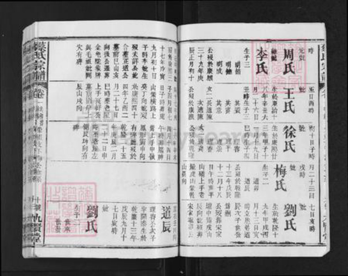 浙江省衢州柯城区蔡氏九贤堂族谱-蔡氏宗谱.pdf电子版插图2