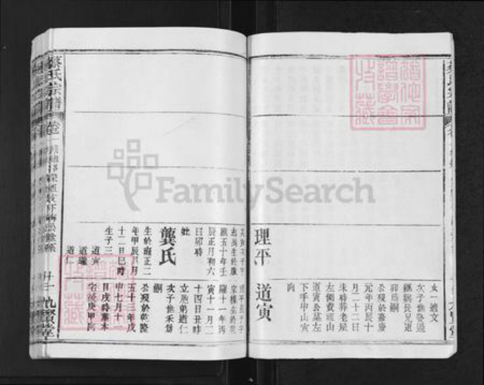 浙江省衢州柯城区蔡氏九贤堂族谱-蔡氏宗谱.pdf电子版插图3