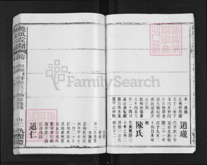 浙江省衢州柯城区蔡氏九贤堂族谱-蔡氏宗谱.pdf电子版插图4