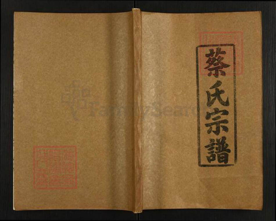 湖北省仙桃市蔡氏洛阳堂族谱-蔡氏宗谱.pdf电子版