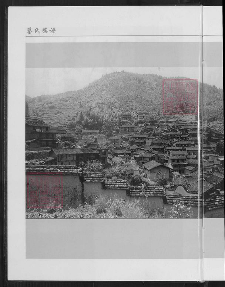 福建省三明市尤溪县洋中镇蔡氏族谱-桂峰蔡氏族谱.pdf电子版插图4
