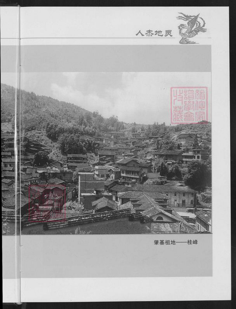 福建省三明市尤溪县洋中镇蔡氏族谱-桂峰蔡氏族谱.pdf电子版插图5