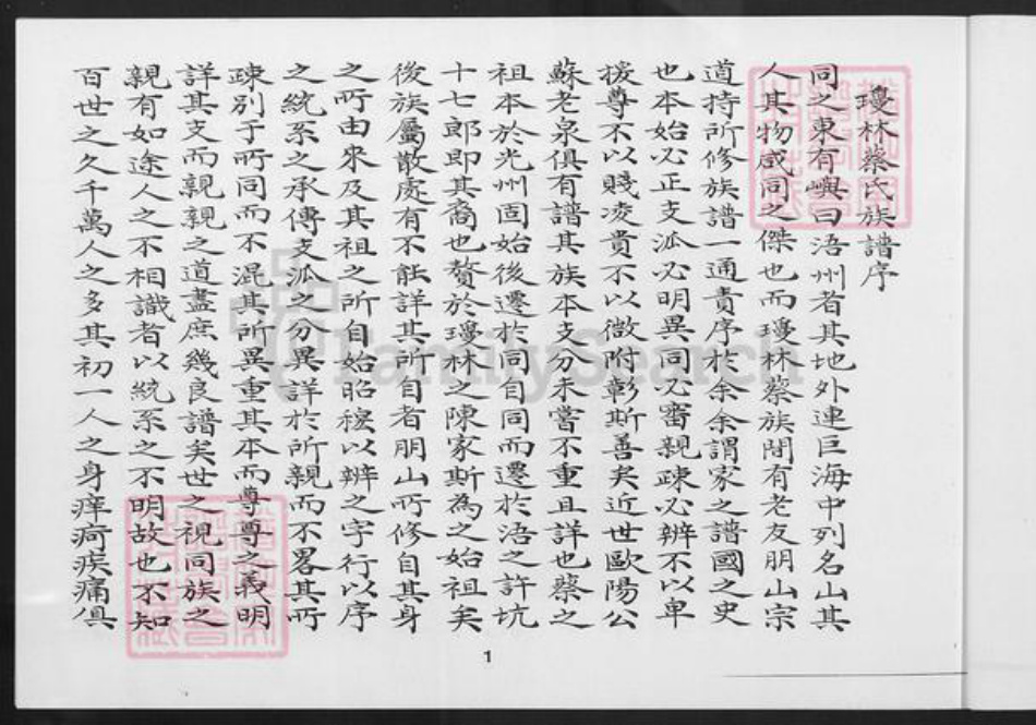 福建省泉州市金门县金湖蔡氏族谱-浯江琼林蔡氏族谱.pdf电子版插图2