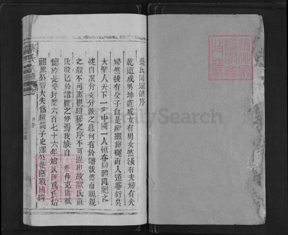 江西省上饶市广丰区枧底镇蔡氏族谱-蔡氏宗谱.pdf电子版插图1