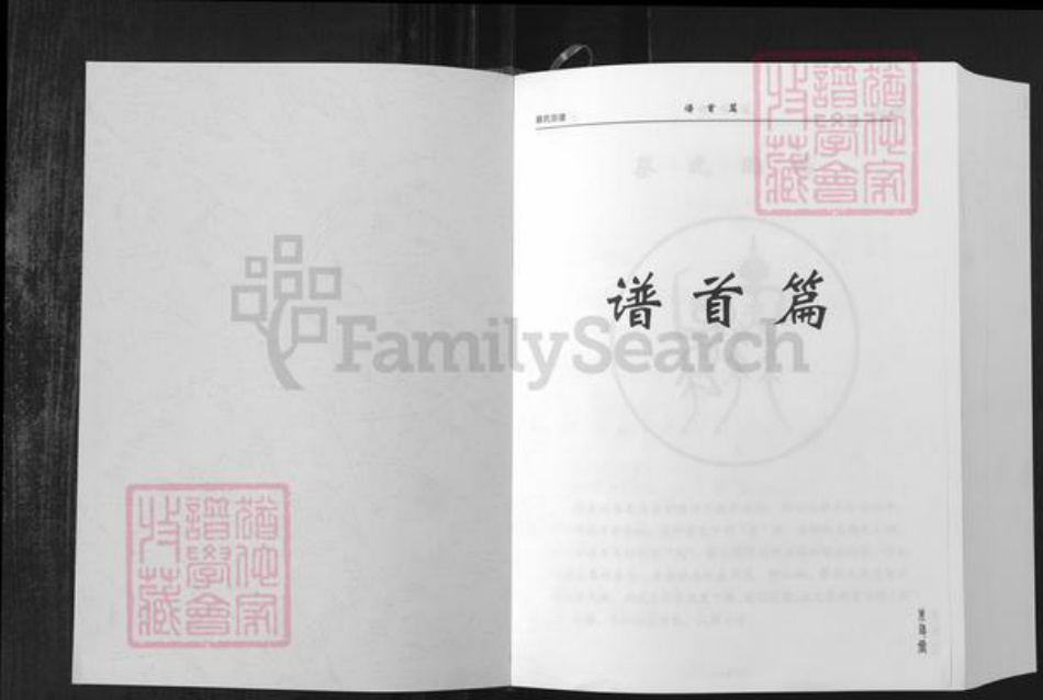 湖北省武汉市新洲区蔡氏朱友堂族谱-蔡氏宗谱.pdf电子版插图1