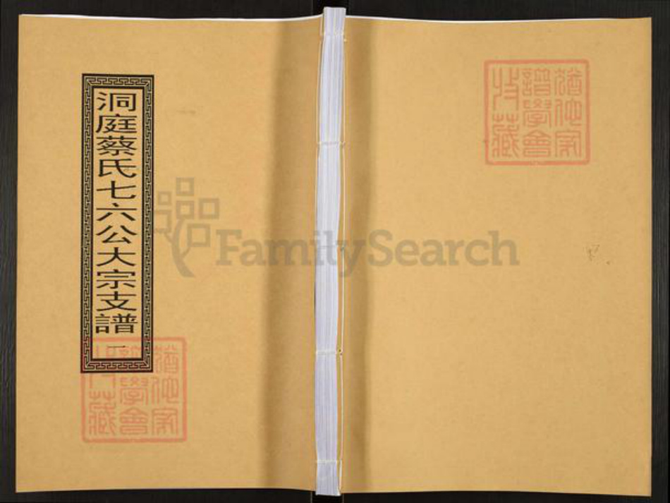江苏省苏州市吴中区东山镇蔡氏环翠堂族谱-洞庭蔡氏七六公大宗支谱.pdf电子版插图