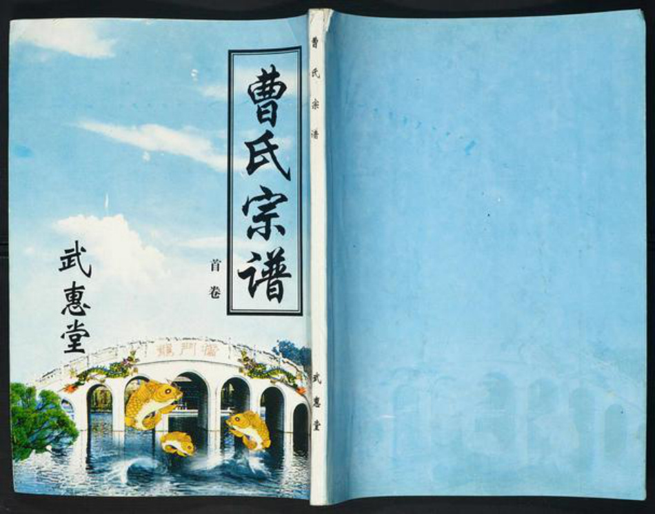 江苏省盐城市阜宁县曹氏族谱-曹氏宗谱.pdf电子版插图